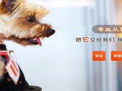 兰州宠物托运公司电话