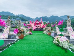 石家庄场地布置
