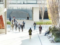 泰州日本留学机构