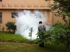 灭蟑螂除老鼠消杀白蚁除四害灭虫服务公司