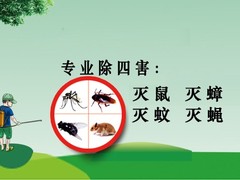 上海灭蟑螂除老鼠白蚁防治除四害消杀服务公司