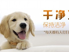 宁波宠物猫寄养
