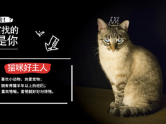 银玲猫舍