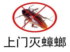 湛江杀虫公司