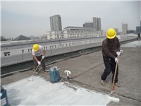广州市森兄防水补漏有限公司