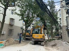 杭州绿化租摆市场