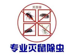 无锡灭白蚁公司
