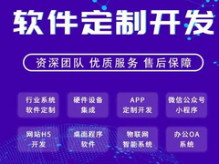 贵阳系统软件开发