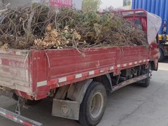 米东装修垃圾清运