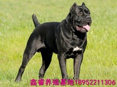 鑫睿养殖基地