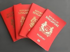 山东新启点出国咨询有限公司