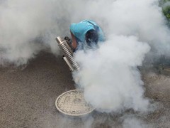 资阳灭鼠公司