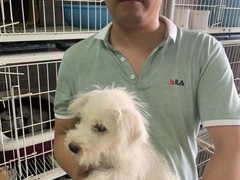 上海杨浦区流浪猫狗宠物小动物收养收容救助领养中心基地站
