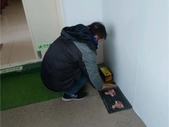 绵阳灭鼠公司