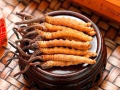 金鼎名酒老酒礼品黄金回收