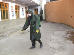 泰安杀虫灭鼠公司