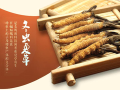 成都回收茅台酒