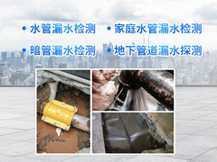 上海水管检测技术工程有限公司
