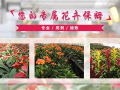 邯郸园林公司
