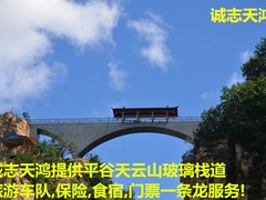 誠志天鴻