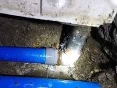 上海水管检测技术工程有限公司