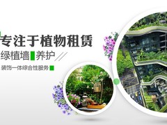 大连干花店