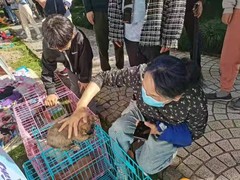 上海杨浦区上海杨浦区宠物救助领养收养收容站