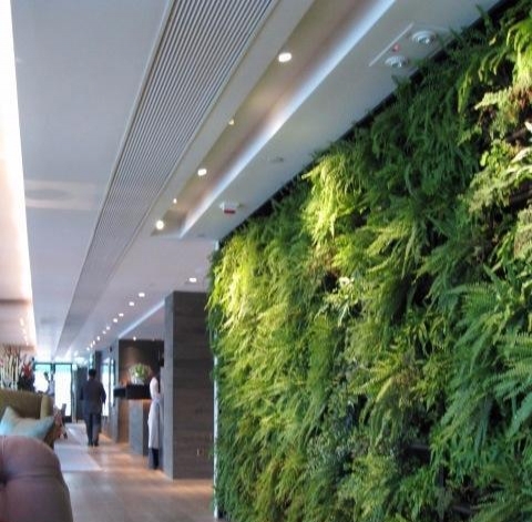 赣超联赛官网_江西省城市足球顶级赛事赛程表+直播+积分榜一站掌握！江西足球速成！五十年后再次参与全运会决赛