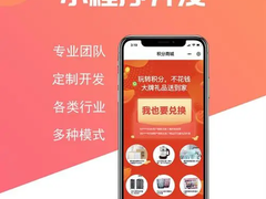 常州系统开发公司
