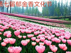 誠(chéng)志天鴻