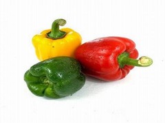 东莞首宏膳食管理有限公司