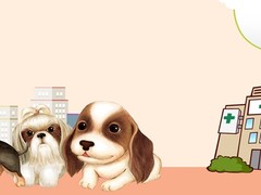 烟台宠物猫医院