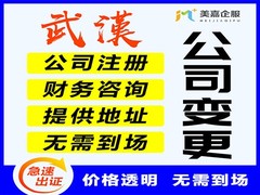 美嘉企业管理（武汉）有限公司