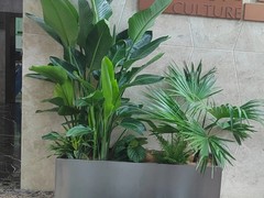 伊佧布创意礼品