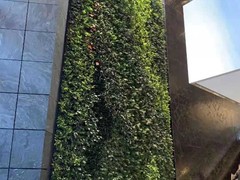 海南尚谷植颜园林景观有限公司
