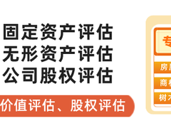 正坤资产评估咨询
