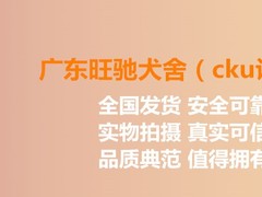 广东旺驰犬舍（cku认证犬舍）