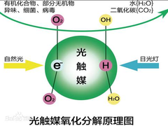 綦江除甲醛公司