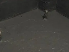 眉山屋面漏水维修
