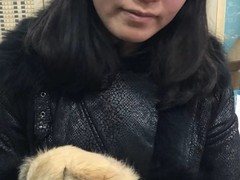 上海长宁区流浪猫狗宠物小动物收养收容救助领养中心基地站