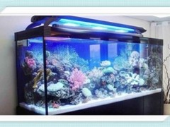 无锡冰之神水族制冷经营