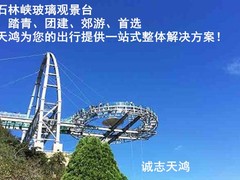 誠志天鴻