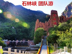 誠(chéng)志天鴻