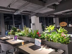 海口滨江鲜花绿植园圃