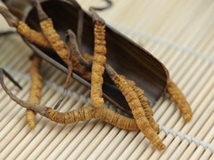 全国环保旧衣回收