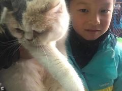 上海杨浦区上海杨浦区宠物救助领养收养收容站
