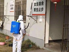 资阳灭鼠公司