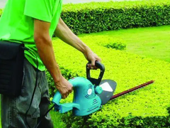 苏州办公室绿植租赁