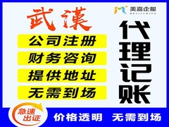 美嘉企业管理（武汉）有限公司