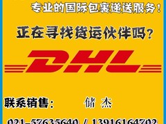 上海国际快递 上海专业国际包裹递送 